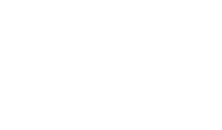 Top Trend Store